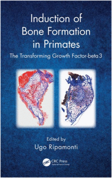 INDUCTION OF BONE FORMATION IN PRIMATES: THE TRANSFORMING GROWTH FACTOR-BETA 3