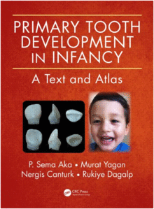 PRIMARY TOOTH DEVELOPMENT IN INFANCY