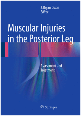 MUSCULAR INJURIES IN THE POSTERIOR LEG. ASSESSMENT AND TREATMENT