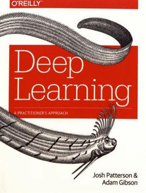 DEEP LEARNING: A PRACTITIONER'S APPROACH