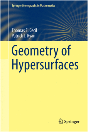 GEOMETRY OF HYPERSURFACES