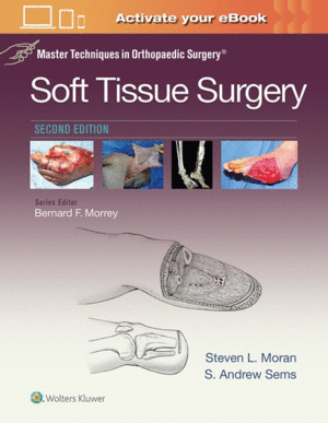 MASTER TECHNIQUES IN ORTHOPAEDIC SURGERY: SOFT TISSUE SURGERY. 2ND EDITION