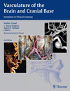 VASCULATURE OF THE BRAIN AND CRANIAL BASE. VARIATIONS IN CLINICAL ANATOMY