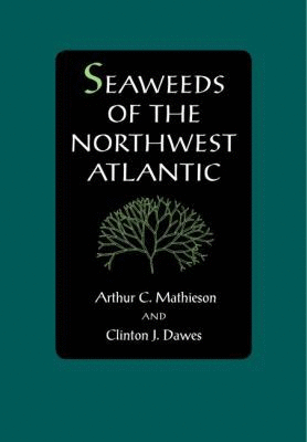 SEAWEEDS OF THE NORTHWEST ATLANTIC