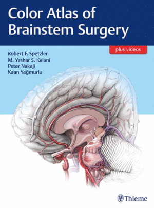 COLOR ATLAS OF BRAINSTEM SURGERY + VIDEOS ONLINE