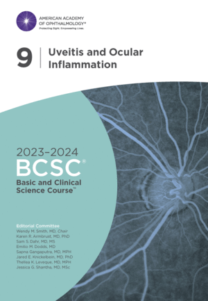 2023-2024 BASIC AND CLINICAL SCIENCE COURSE™, SECTION 9: UVEITIS AND OCULAR INFLAMMATION