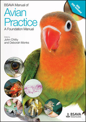 BSAVA MANUAL OF AVIAN PRACTICE: A FOUNDATION MANUAL