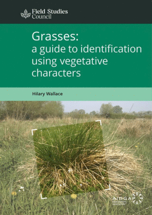 GRASSES: A GUIDE TO IDENTIFICATION USING VEGETATIVE CHARACTERS