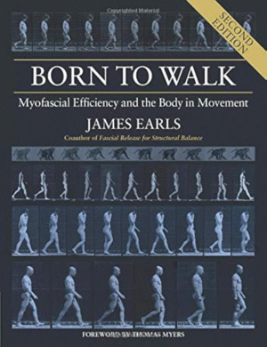 BORN TO WALK.  MYOFASCIAL EFFICIENCY AND THE BODY IN MOVEMENT