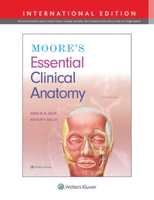 MOORE'S ESSENTIAL CLINICAL ANATOMY (INTERNATIONAL EDITION). 6TH EDITION