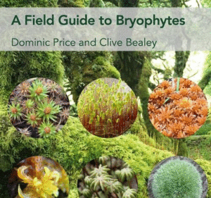 A FIELD GUIDE TO BRYOPHYTES
