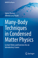 MANY-BODY TECHNIQUES IN CONDENSED MATTER PHYSICS