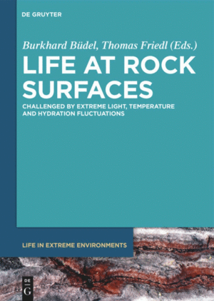 LIFE AT ROCK SURFACES. CHALLENGED BY EXTREME LIGHT, TEMPERATURE AND HYDRATION FLUCTUATIONS