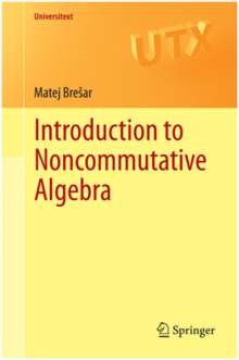 INTRODUCTION TO NONCOMMUTATIVE ALGEBRA