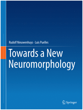 TOWARDS A NEW NEUROMORPHOLOGY