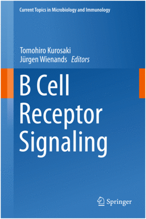 B CELL RECEPTOR SIGNALING. CURRENT TOPICS IN MICROBIOLOGY AND IMMUNOLOG