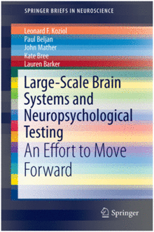 LARGE-SCALE BRAIN SYSTEMS AND NEUROPSYCHOLOGICAL TESTING. AN EFFORT TO MOVE FORWARD