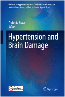 HYPERTENSION AND BRAIN DAMAGE (UPDATES IN HYPERTENSION AND CARDIOVASCULAR PROTECTION)