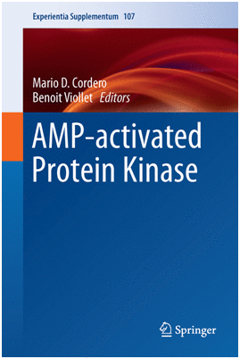 AMP-ACTIVATED PROTEIN KINASE