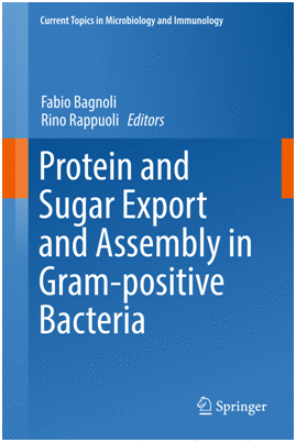 PROTEIN AND SUGAR EXPORT AND ASSEMBLY IN GRAM-POSITIVE BACTERIA