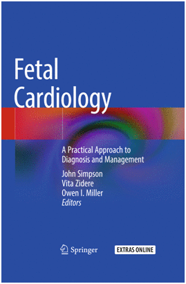 FETAL CARDIOLOGY. A PRACTICAL APPROACH TO DIAGNOSIS AND MANAGEMENT + EXTRAS ONLINE
