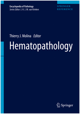 HEMATOPATHOLOGY (PRINT + E-BOOK)
