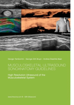 MUSCULOSKELETAL ULTRASOUND - SONOANATOMY GUIDELINES. HIGH RESOLUTION MSK ULTRASOUND