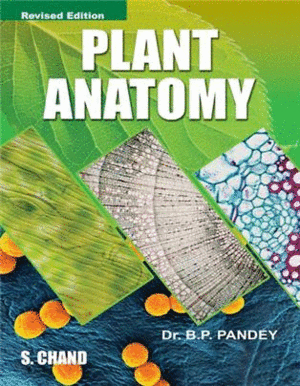 PLANT ANATOMY