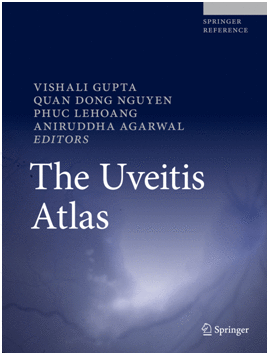 THE UVEITIS ATLAS. (PRINT + EBOOK)