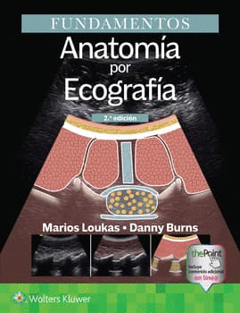 FUNDAMENTOS. ANATOMA POR ECOGRAFA