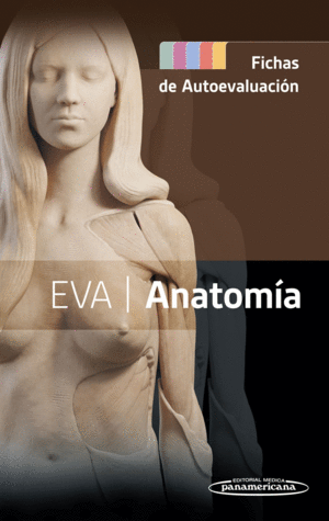 EVA  ANATOMA. FICHAS DE AUTOEVALUACIN