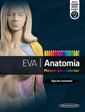 EVA  ANATOMA. MANUAL PARA COLOREAR. APARATO LOCOMOTOR