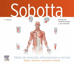 SOBOTTA. TABLAS DE MSCULOS, ARTICULACIONES Y NERVIOS