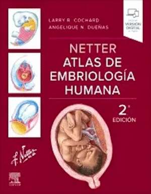 NETTER. ATLAS DE EMBRIOLOGA HUMANA