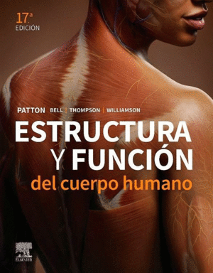 ESTRUCTURA Y FUNCIN DEL CUERPO HUMANO