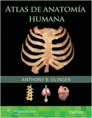 ATLAS DE ANATOM�A HUMANA