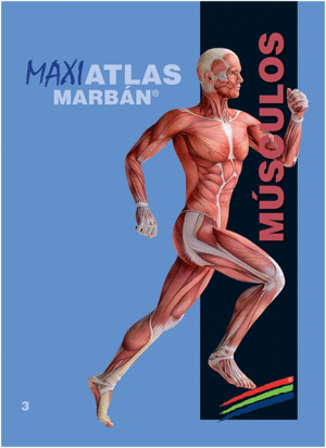 MAXI ATLAS, VOL. 3: MSCULOS