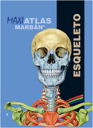 MAXI ATLAS, VOL. 4: ESQUELETO