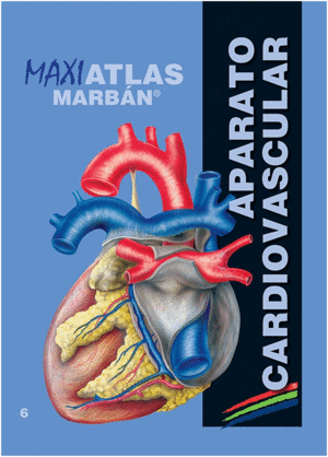 MAXI ATLAS VOL. 6: APARATO CARDIOVASCULAR