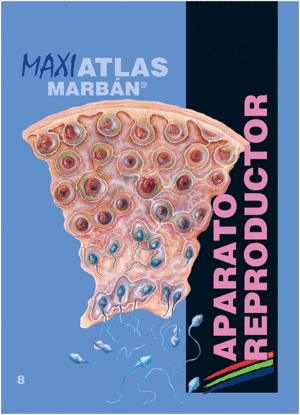 MAXI ATLAS, VOL. 8: APARATO REPRODUCTOR