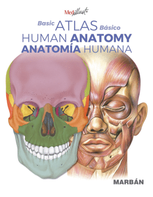 ATLAS BSICO DE ANATOMA HUMANA - BASIC ATLAS OF HUMAN ANATOMY