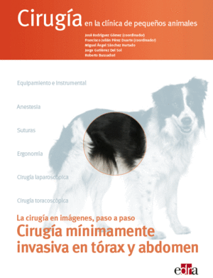 CIRUGA MNIMAMENTE INVASIVA EN TRAX Y ABDOMEN. CIRUGA EN LA CLNICA DE PEQUEOS ANIMALES