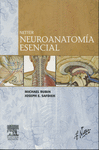NETTER NEUROANATOMIA ESENCIAL