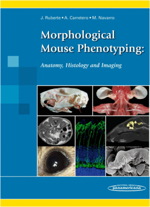 MORPHOLOGICAL MOUSE PHENOTYPING: ANATOMY, HISTOLOGY AND IMAGING