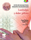 GUA DE MASAJE PARA TERAPEUTAS MANUALES: LUMBALGIA Y DOLOR PLVICO + DVD-ROM