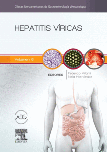 HEPATITIS VRICAS. CLNICAS IBEROAMERICANAS DE GASTROENTEROLOGA Y HEPATOLOGA. VOL. 7