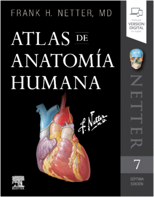 NETTER, ATLAS DE ANATOMÍA HUMANA. 7ª EDICIÓN