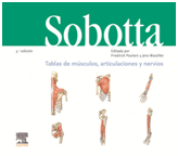 SOBOTTA. TABLAS DE MSCULOS, ARTICULACIONES Y NERVIOS. 3 EDICIN