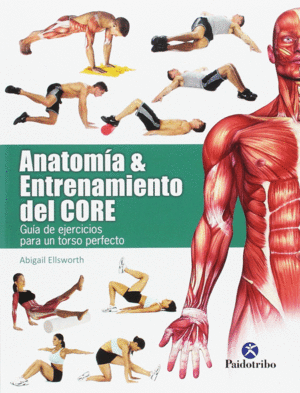 ANATOMIA Y ENTRENAMIENTO DEL CORE. GUIA DE EJERCICIOS PARA UN TORSO PERFECTO