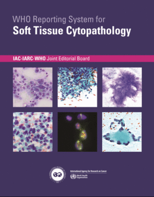 WHO REPORTING SYSTEM FOR SOFT TISSUE CYTOPATHOLOGY. VOL. 4